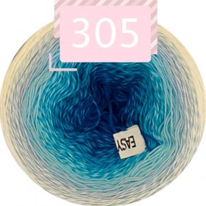 305 305