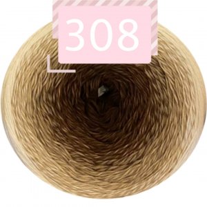 308 308
