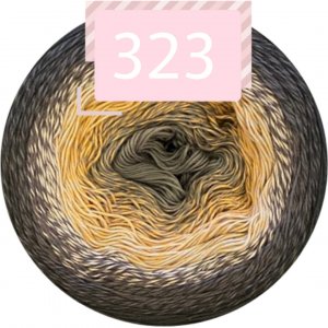 323 323