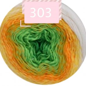 303 303