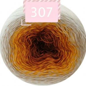 307 307